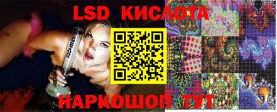гидра Заводоуковск