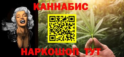 гидра Заводоуковск