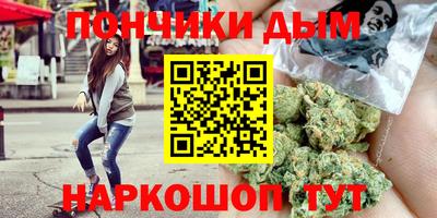 гидра Заводоуковск