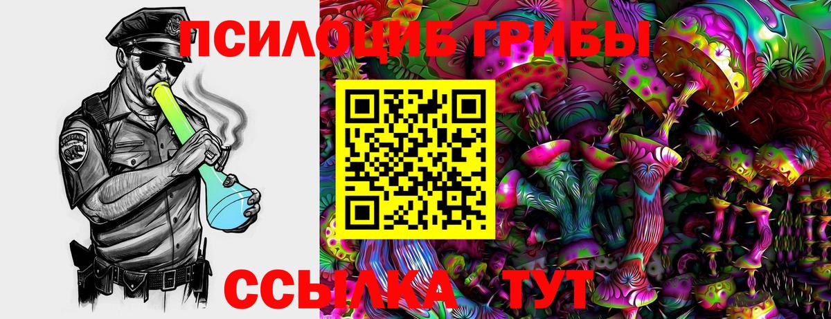 Псилоцибиновые грибы прущие грибы Кубинка