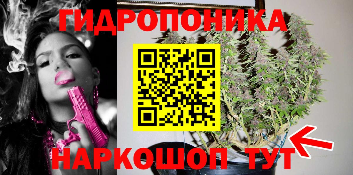 Псилоцибиновые грибы Кубинка